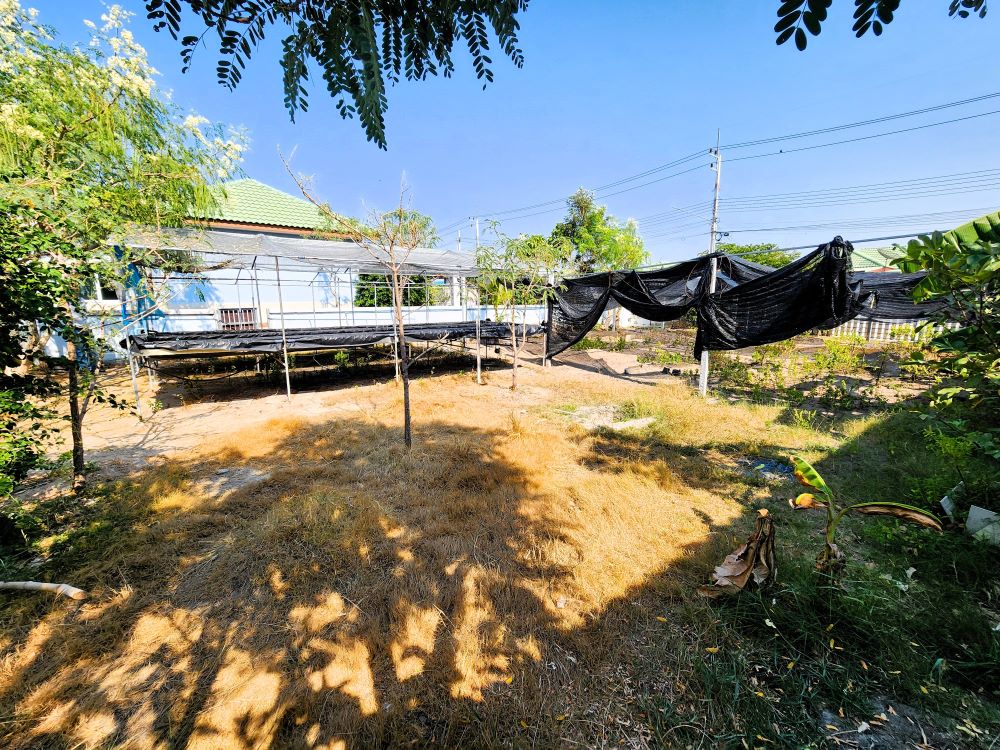 บ้านเดี่ยวสุดคุ้ม! ที่ดินใหญ่ 131 ตร.วา ใกล้ค่ายทหาร บรรยากาศสงบ ปลอดภัย